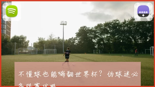 不懂球也能嗨翻世界杯？伪球迷必备观赛攻略