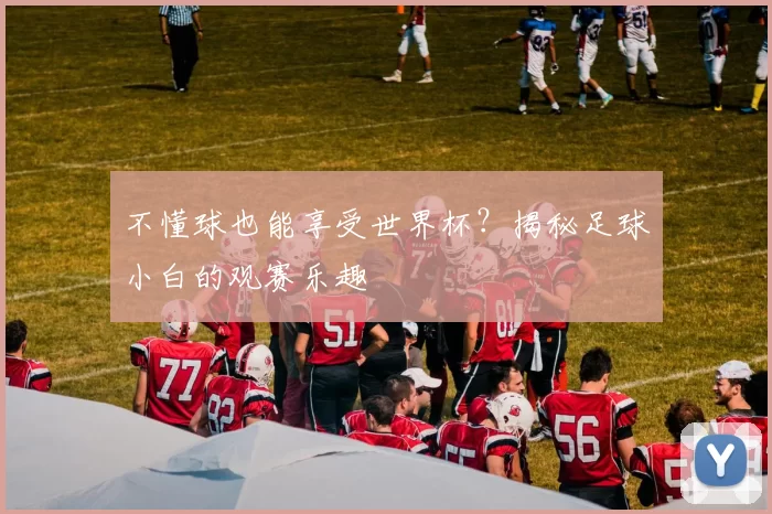 不懂球也能享受世界杯?揭秘足球小白的观赛乐趣