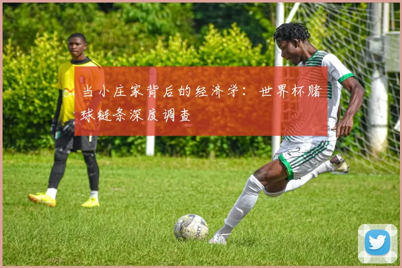 当小庄家背后的经济学:世界杯赌球链条深度调查