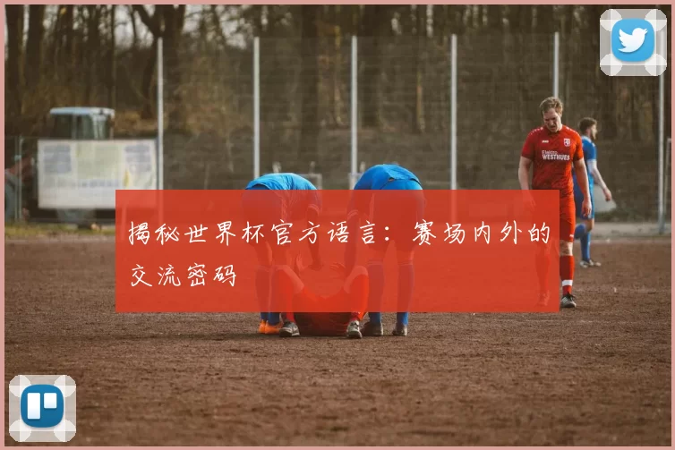 揭秘世界杯官方语言：赛场内外的交流密码