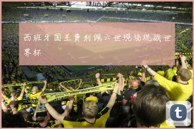 西班牙国王费利佩六世现场观战世界杯