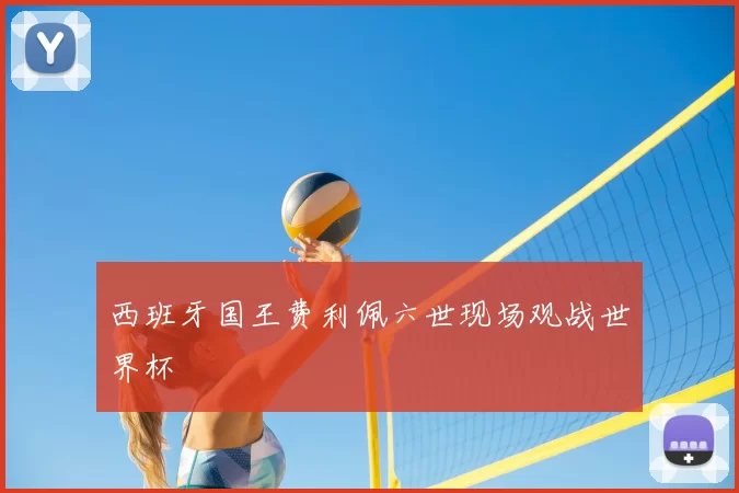 西班牙国王费利佩六世现场观战世界杯