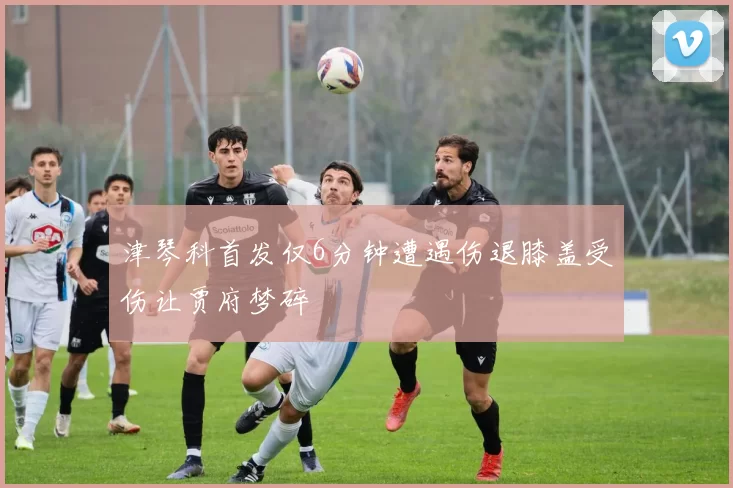 津琴科首发仅6分钟遭遇伤退膝盖受伤让贾府梦碎