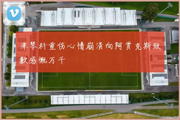 津琴科重伤心情崩溃向阿贾克斯致歉感慨万千
