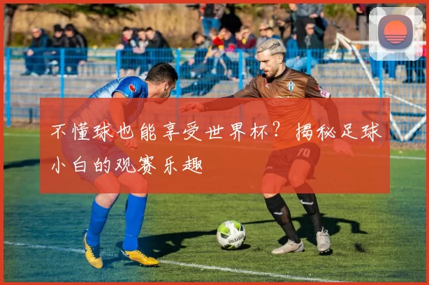 不懂球也能享受世界杯?揭秘足球小白的观赛乐趣