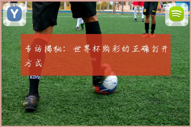 专访揭秘:世界杯购彩的正确打开方式