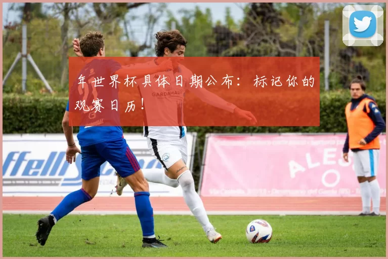 年世界杯具体日期公布:标记你的观赛日历!
