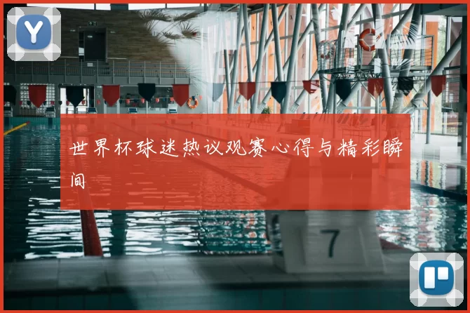 世界杯球迷热议观赛心得与精彩瞬间