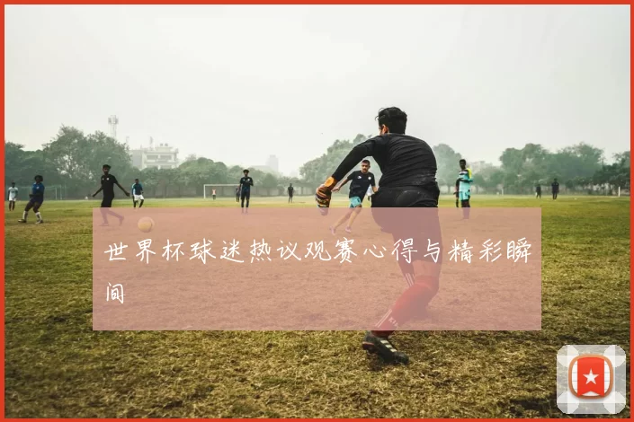 世界杯球迷热议观赛心得与精彩瞬间