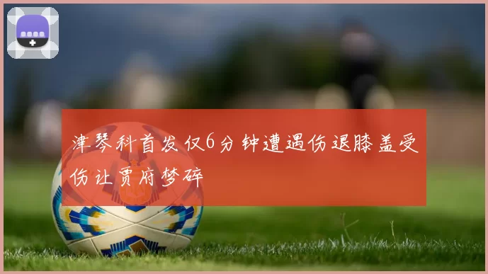 津琴科首发仅6分钟遭遇伤退膝盖受伤让贾府梦碎