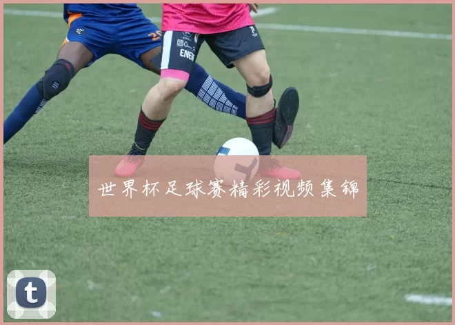 世界杯足球赛精彩视频集锦
